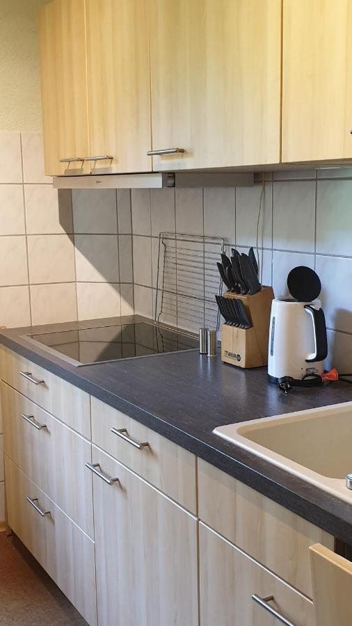 Ferienwohnung An Der Begerburg Δρέσδη Εξωτερικό φωτογραφία